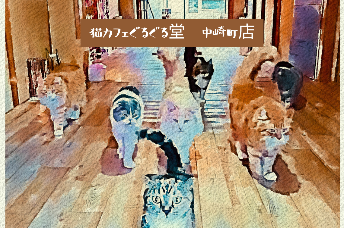 猫カフェぐるぐる堂 中崎町店 (1)